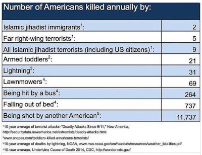 Number of Americans killed by displayed in a chart